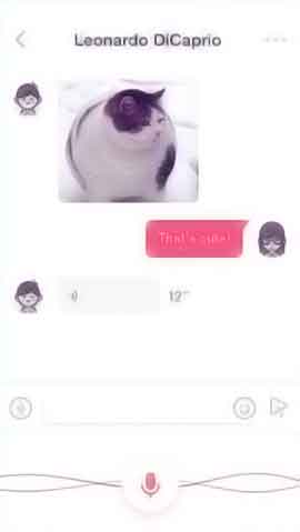 攻击网站的方法软件程序维护界面